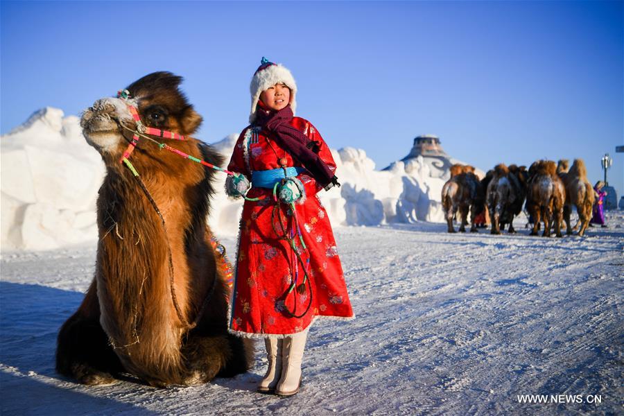 CHINA-INNER MONGOLIA-CAMEL FAIR (CN)