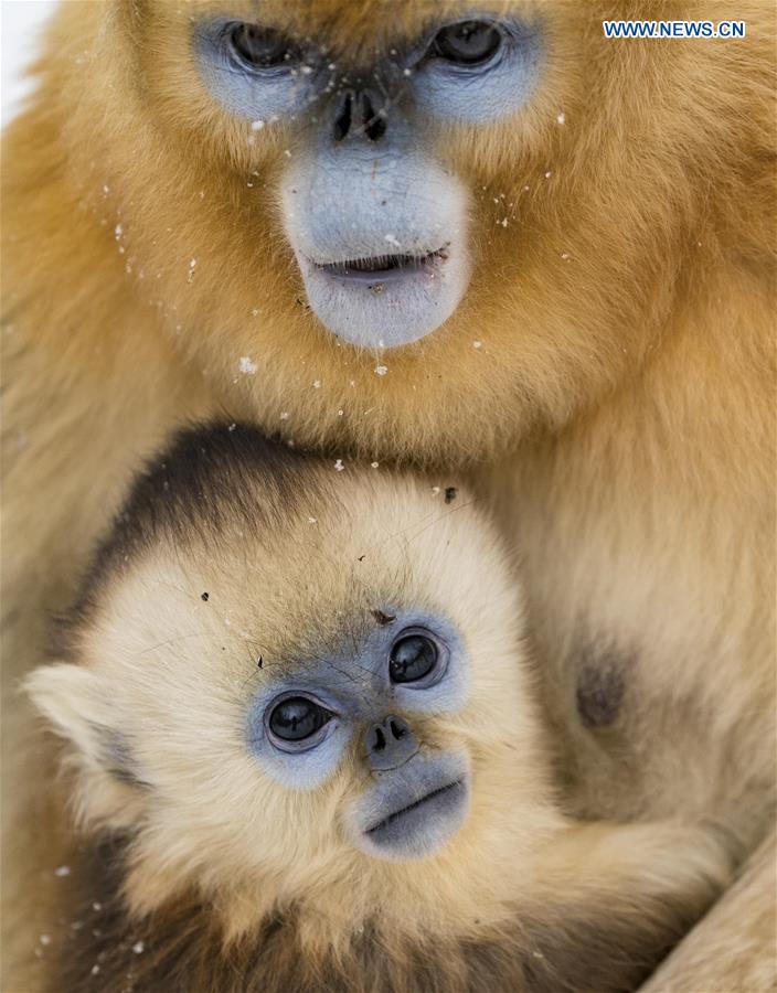 XINHUA PHOTO WEEKLY CHOICES