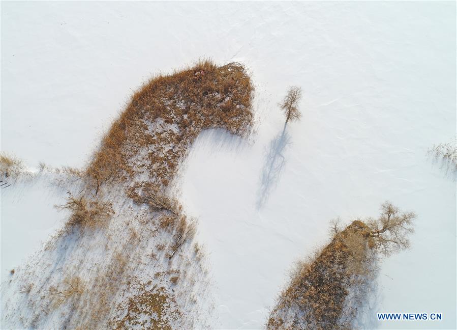 #CHINA-XINJIANG-TAKLIMAKAN DESERT-SCENERY (CN)