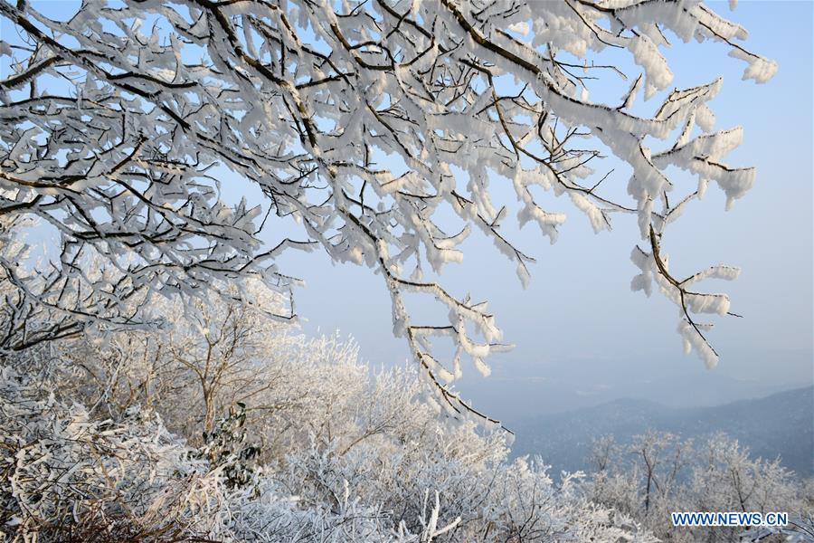 #CHINA-RIME-SCENERY (CN)