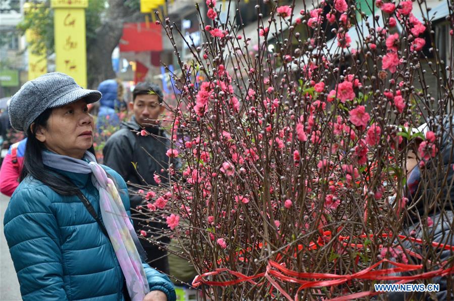 VIETNAM-HANOI-SPRING FESTIVAL-PREPARATIONS 