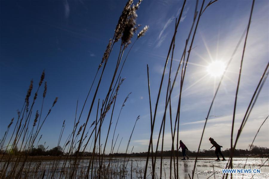 THE NETHERLANDS-FRISLAND-NATURAL ICE-SKATING