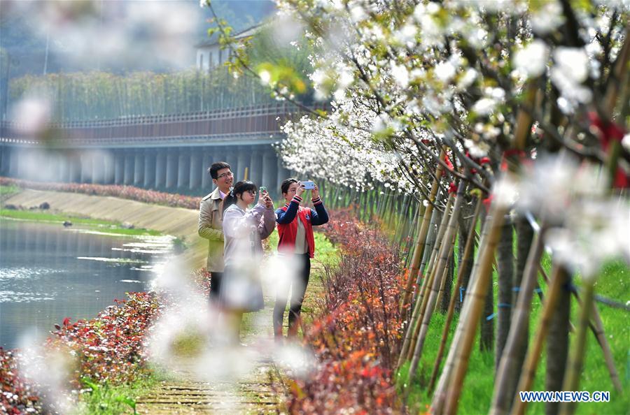 #CHINA-SPRING-SCENERY(CN)