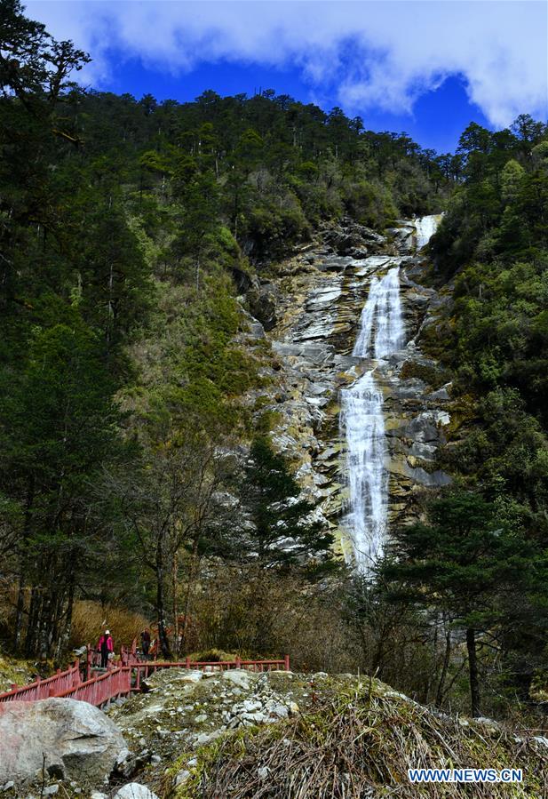 CHINA-TIBET-MEDOG-SPRING SCENERY (CN)