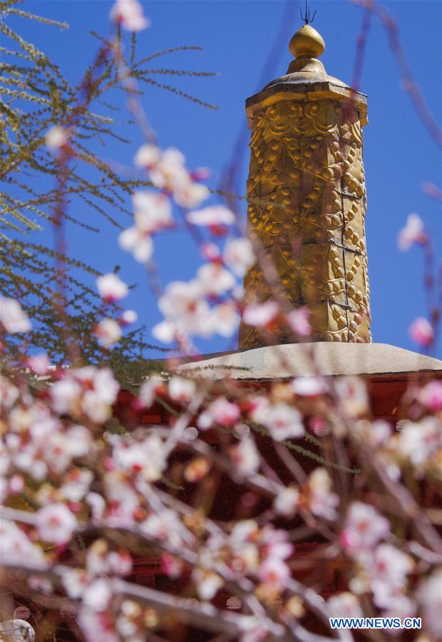 CHINA-TIBET-MONASTERY-FLOWER(CN)