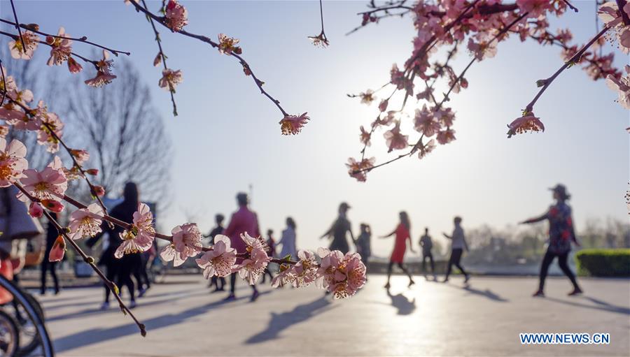 #CHINA-SPRING LEISURE (CN)