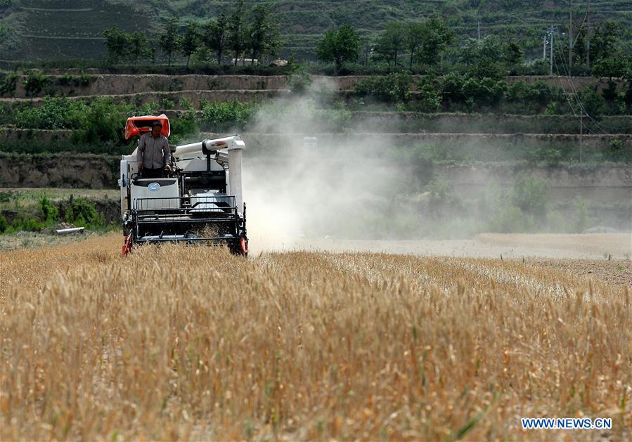 CHINA-SHAANXI-WHEAT-HARVEST (CN)