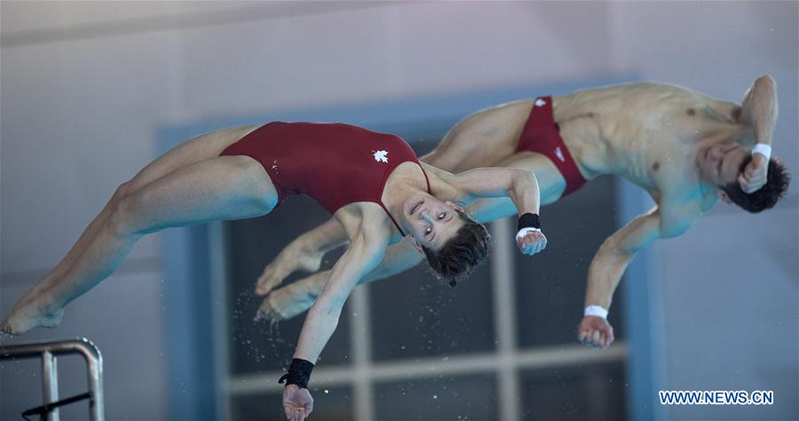 (SP)CHINA-WUHAN-DIVING-FINA-WORLD CUP (CN)