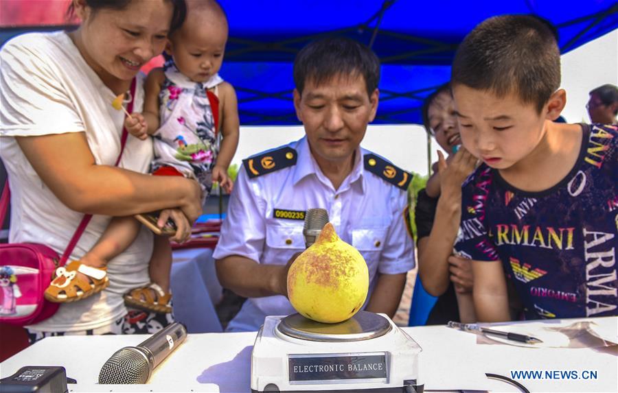 CHINA-HEBEI-SHENZHOU-PEACH CONTEST (CN)