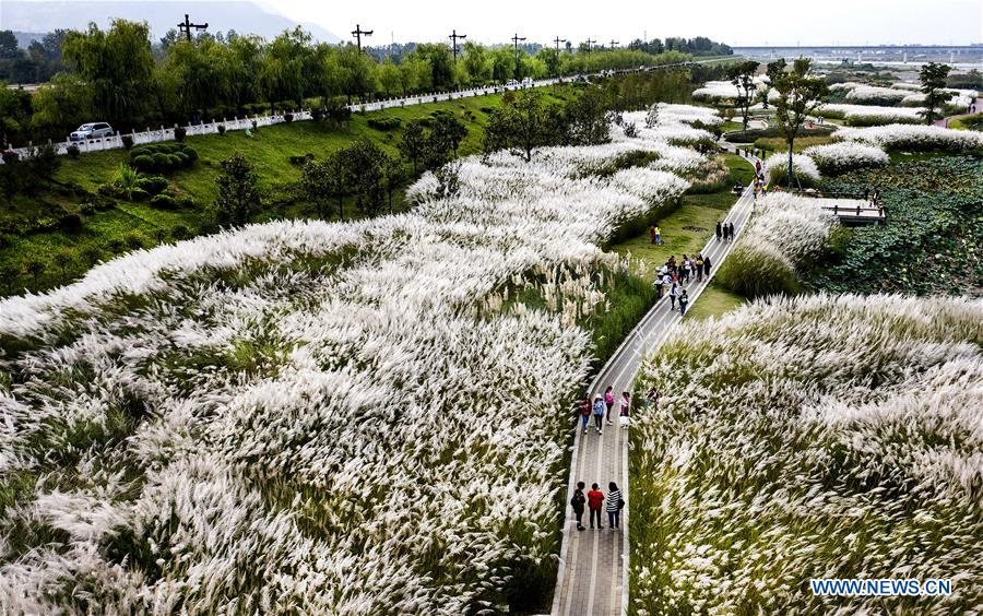 CHINA-SHAANXI-HANJIANG RIVER-WETLAND (CN)