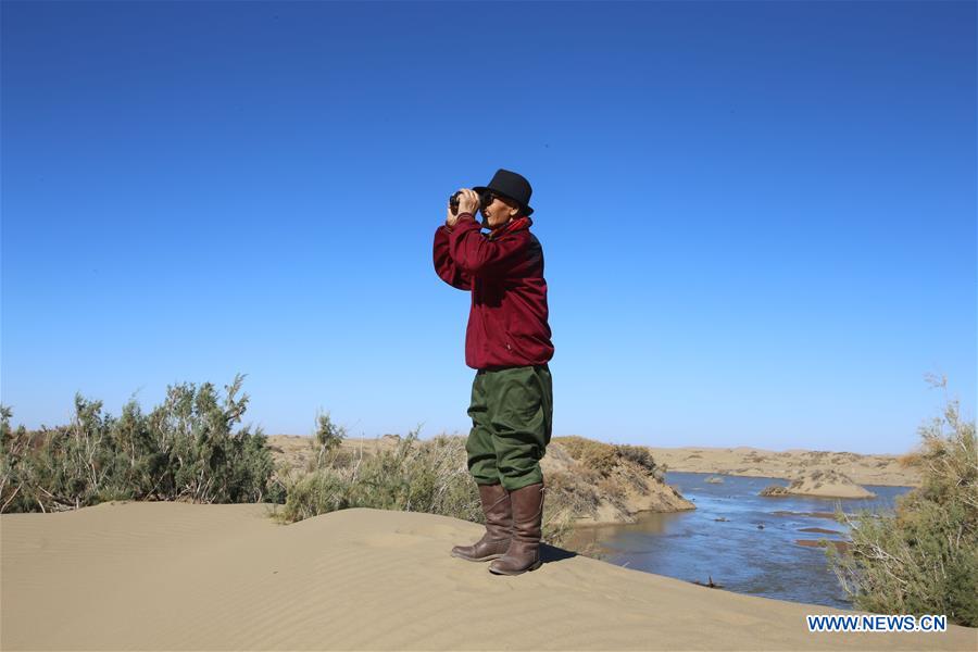 CHINA-INNER MONGOLIA-DESERT POPLAR (CN)