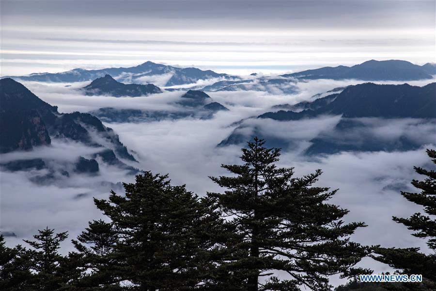 CHINA-HUBEI-SHENNONGJIA-SCENERY (CN)