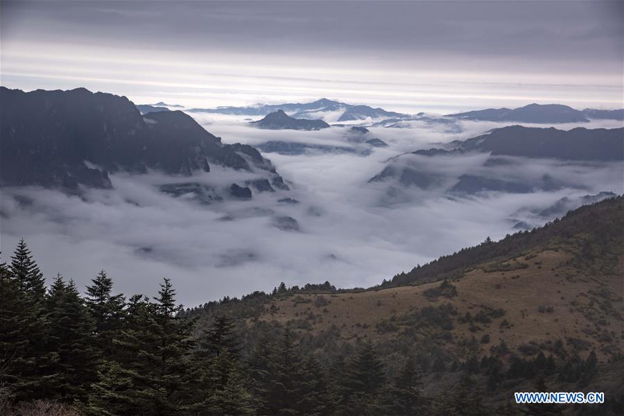 CHINA-HUBEI-SHENNONGJIA-SCENERY (CN)