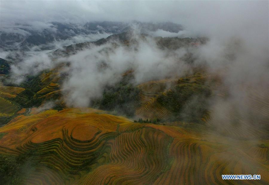 #CHINA-GUANGXI-TERRACE-SCENERY (CN)