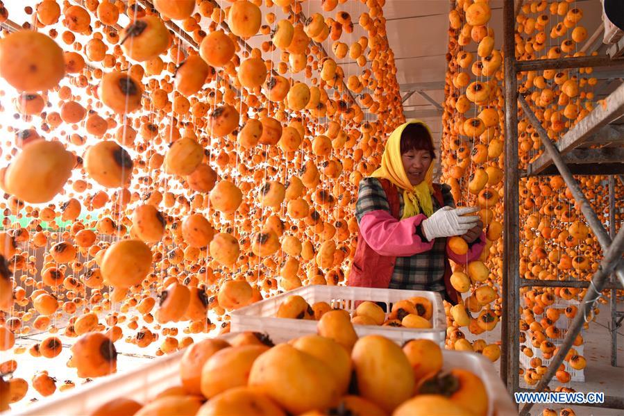 #CHINA-SHANDONG-LINYI-PERSIMMON (CN) 