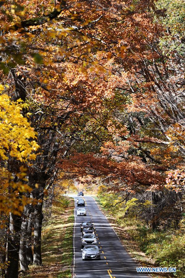 U.S.-VIRGINIA-SHENANDOAH NATIONAL PARK-AUTUMN VIEWS