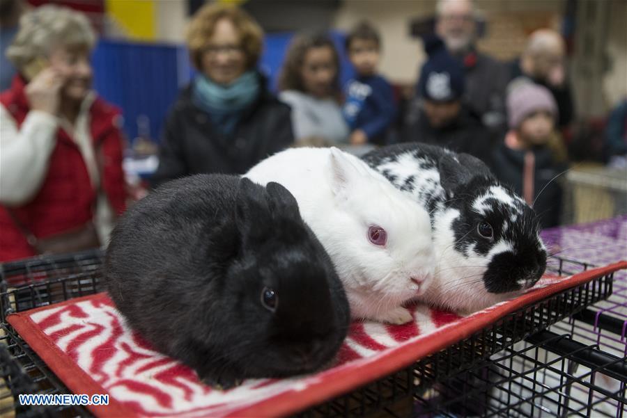 CANADA-TORONTO-ROYAL AGRICULTURAL WINTER FAIR