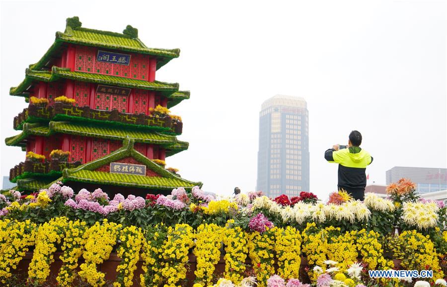 CHINA-JIANGXI-NANCHANG-CHRYSANTHEMUM SHOW (CN)