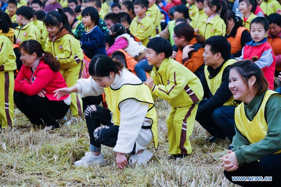 CHINA-ZHEJIANG-CHANGXING-RICE FIELD-RECREATION (CN)