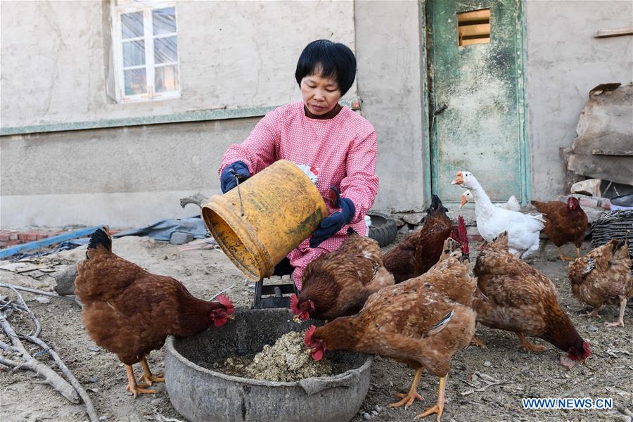 CHINA-INNER MONGOLIA-DISABLED COUPLE (CN)