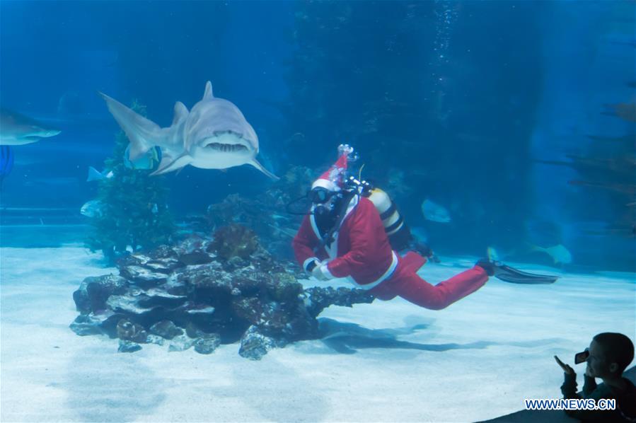 HUNGARY-BUDAPEST-DIVING SANTA