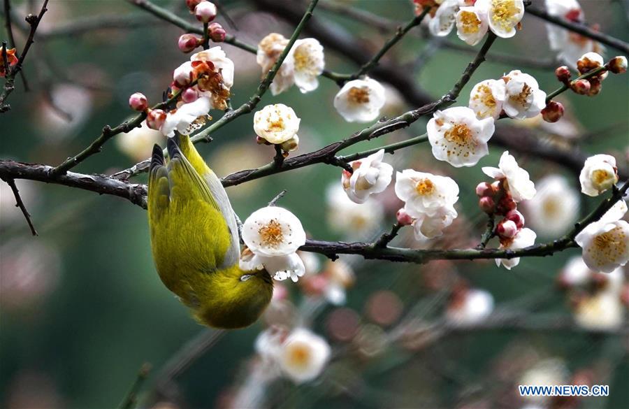 XINHUA PHOTOS OF THE DAY