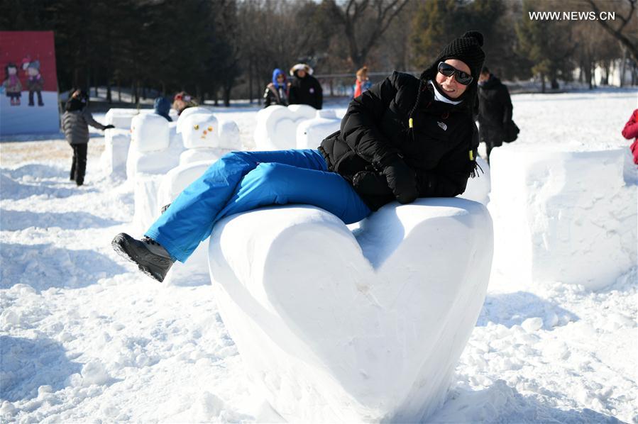 CHINA-HARBIN-FAMILY SNOW SCULPTURE COMPETITION (CN)