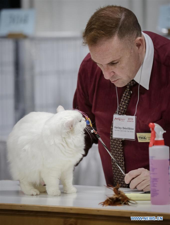 CANADA-VANCOUVER-CAT SHOW