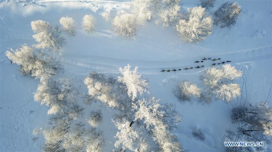 (SP)CHINA-XINJIANG-ALTAY-FUR SNOWBOARDS(CN)