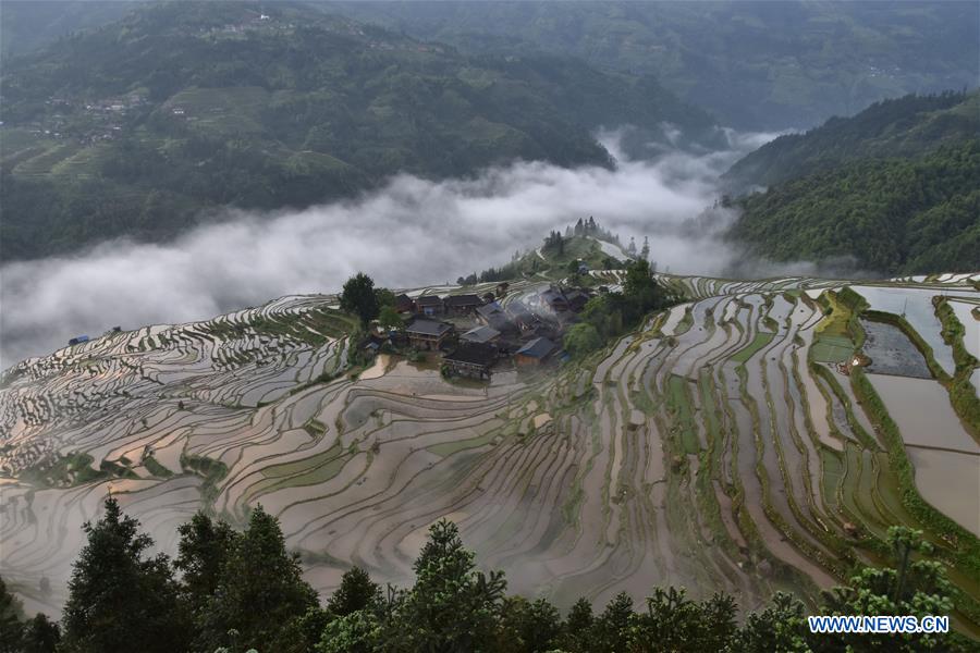 #CHINA-GUIZHOU-TERRACED FIELDS (CN)