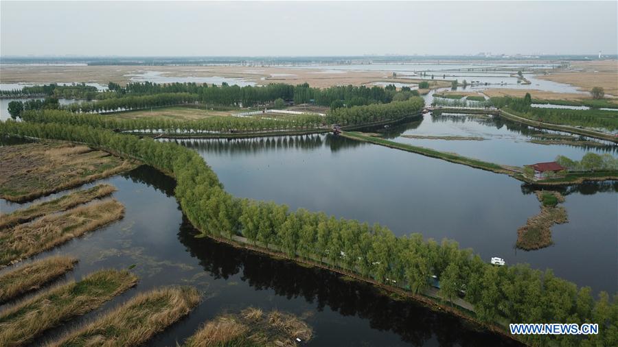 (EcoChina) CHINA-BEIJING-HORTICULTURAL EXPO-HEBEI (CN)