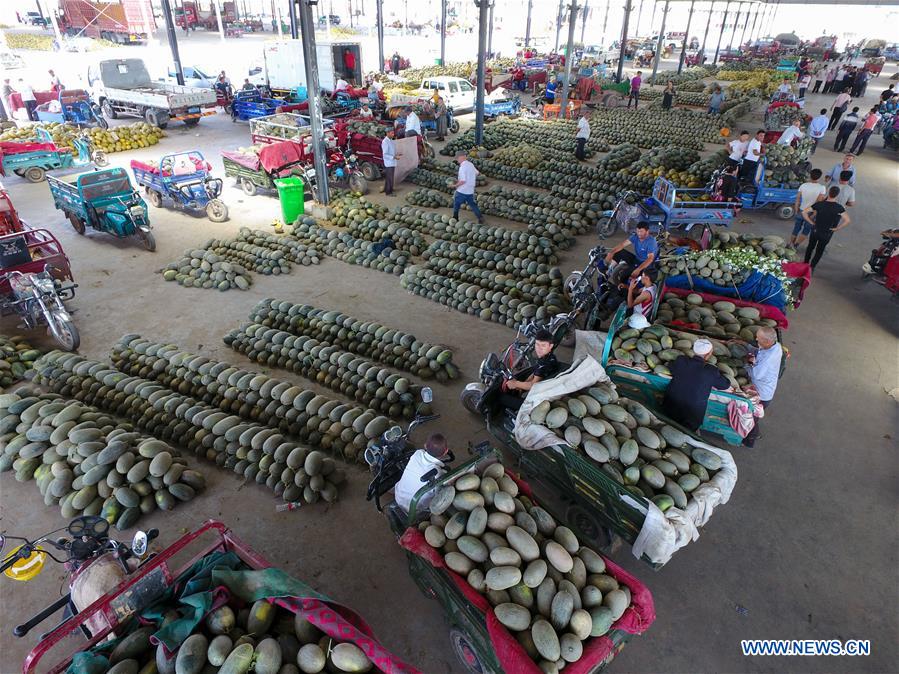 CHINA-XINJIANG-KASHGAR-CANTALOUPE (CN)