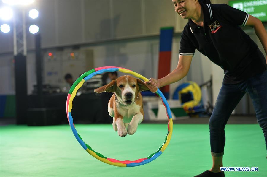 THAILAND-BANGKOK-PET EXPO