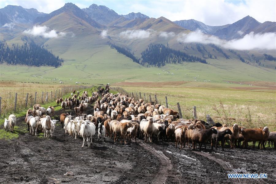 CHINA-XINJIANG-NARAT-SCENERY (CN)