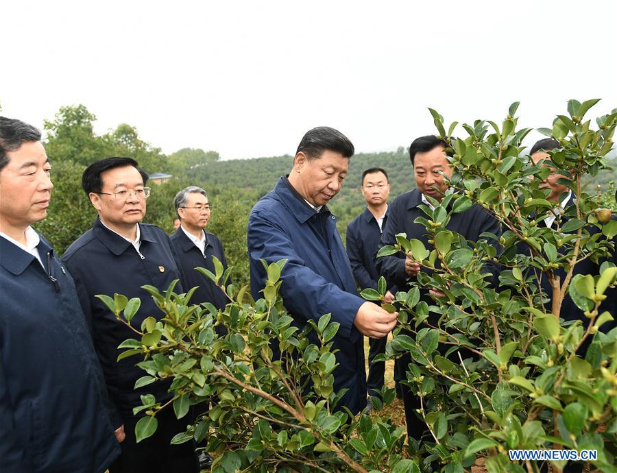 CHINA-HENAN-XI JINPING-POVERTY ALLEVIATION-INSPECTION (CN)