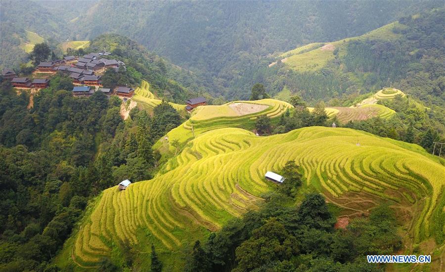 CHINA-FARMERS' HARVEST FESTIVAL (CN)