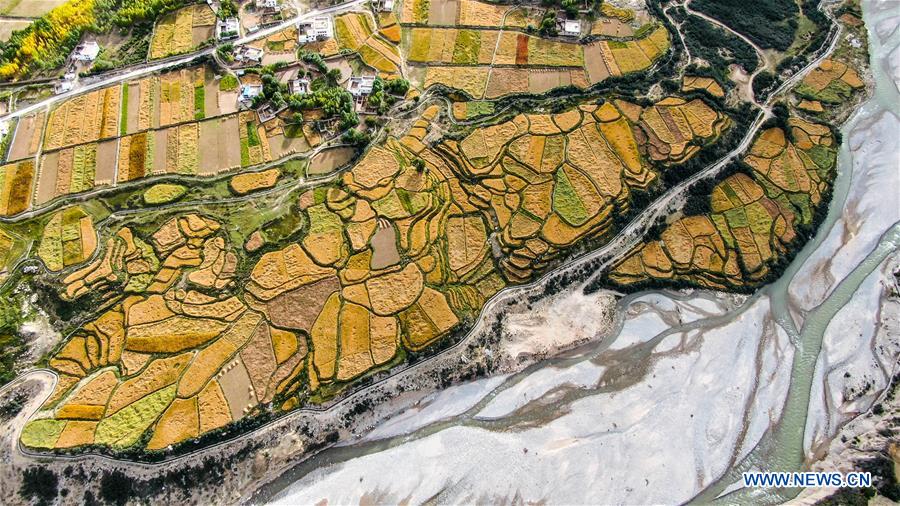 CHINA-FARMERS' HARVEST FESTIVAL (CN)