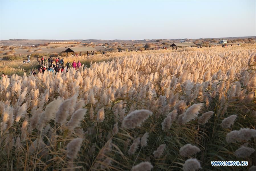 CHINA-INNER MONGOLIA-JUYANHAI LAKE-SCENERY (CN)