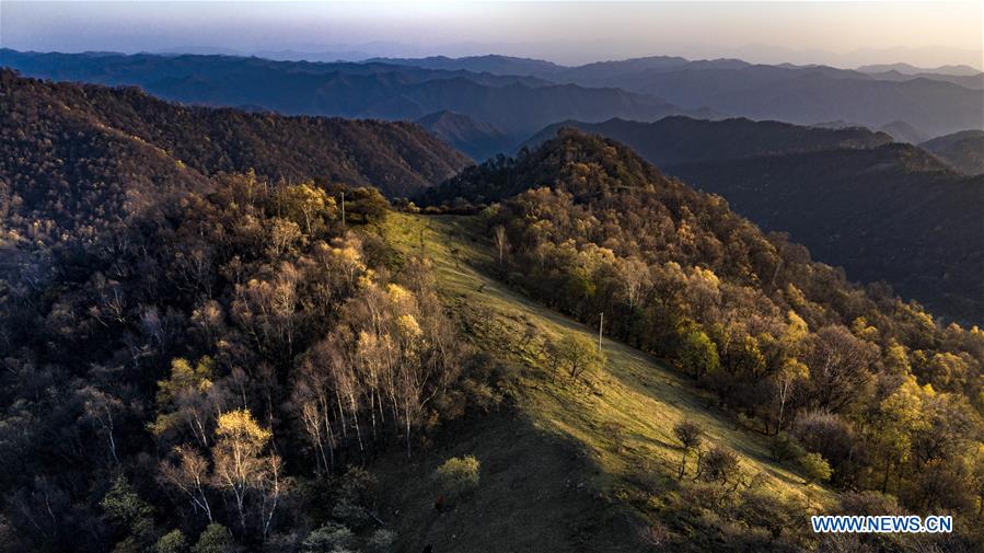 CHINA-SHAANXI-AUTUMN-PASTURE-SCENERY (CN)