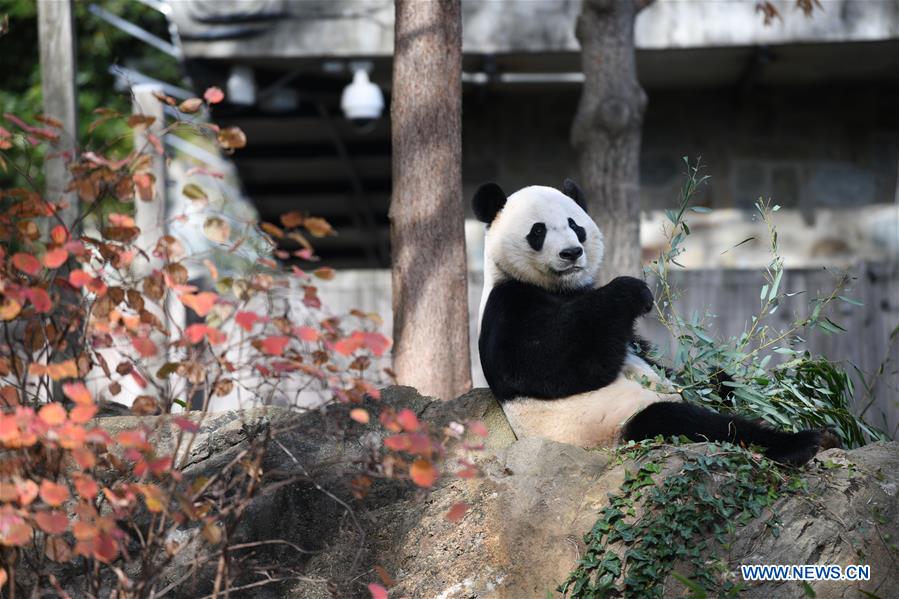 XINHUA PHOTOS OF THE DAY