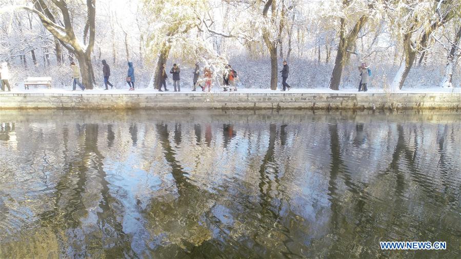 CHINA-SHENYANG-SNOW SCENERY (CN)