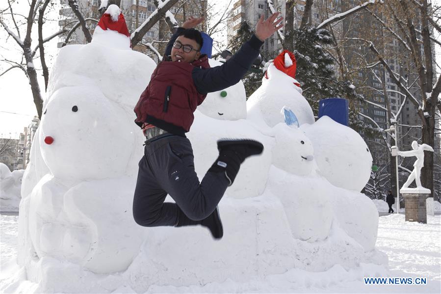 CHINA-HEILONGJIANG-HARBIN-2020-NEW YEAR-SNOW SCULPTURES(CN)