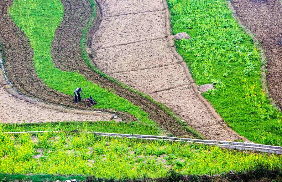 #CHINA-SPRING-FARMING (CN)