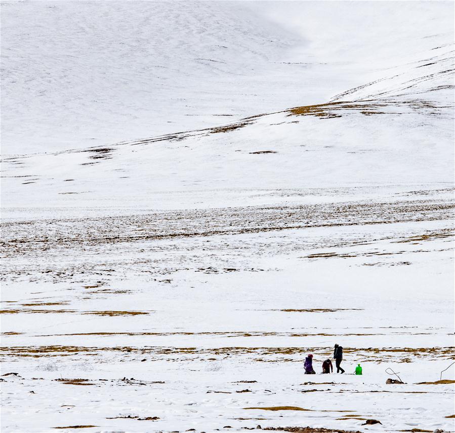 CHINA-TIBET-SNOW SCENERY (CN)