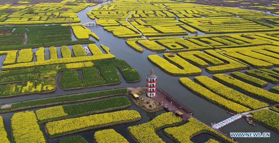 CHINA-JIANGSU-XINGHUA-COLE FLOWERS (CN)