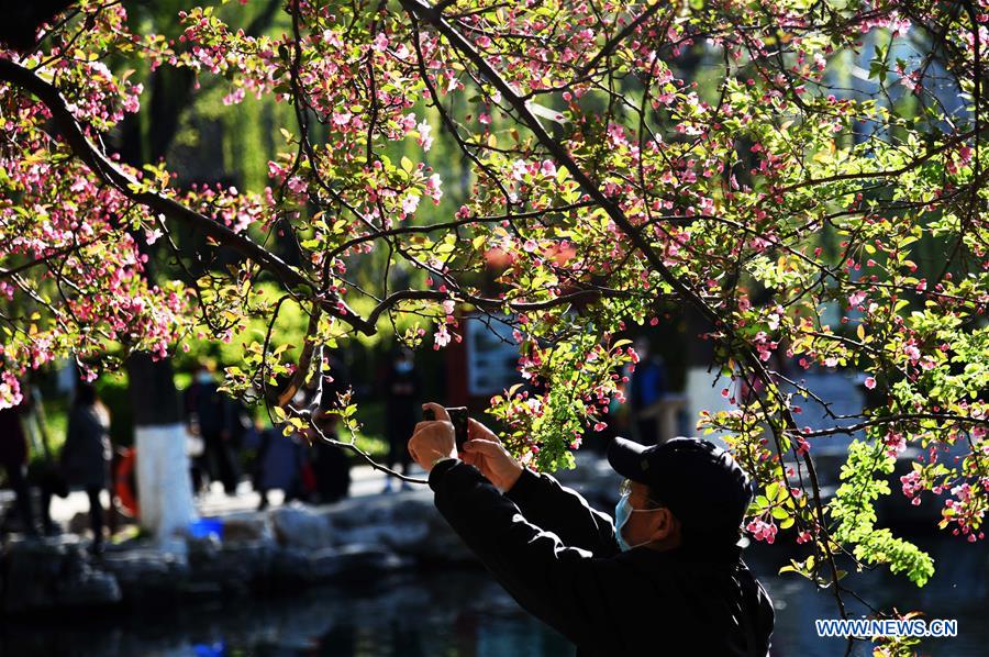 CHINA-SHANDONG-JINAN-SPRING SCENERY (CN)