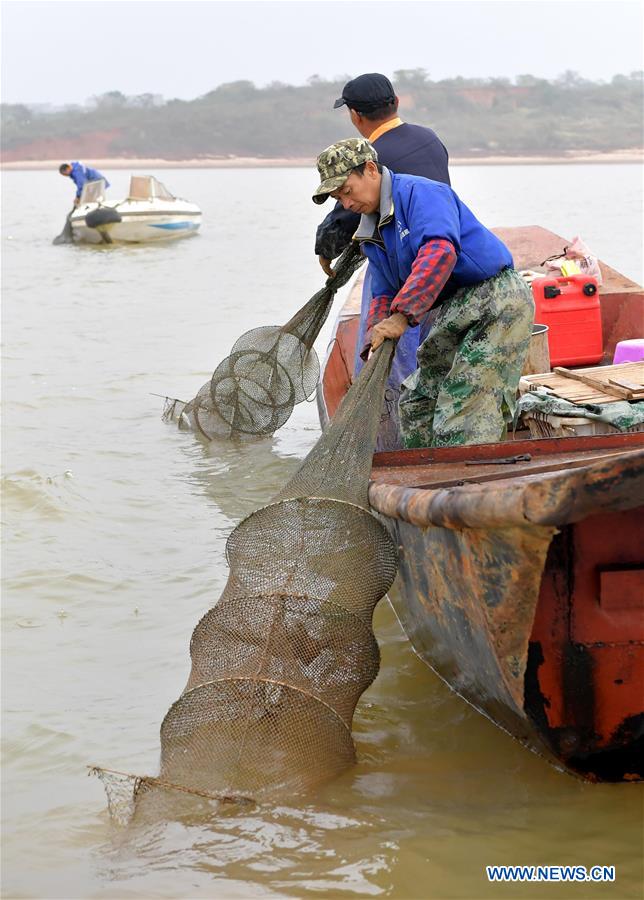 CHINA-JIANGXI-NANCHANG-FISHERY-CRAB (CN)