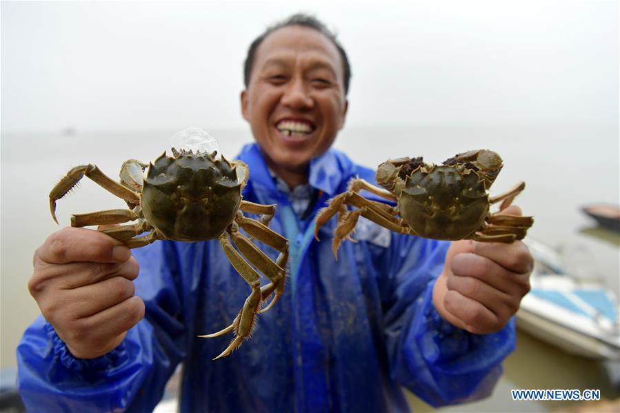 CHINA-JIANGXI-NANCHANG-FISHERY-CRAB (CN)