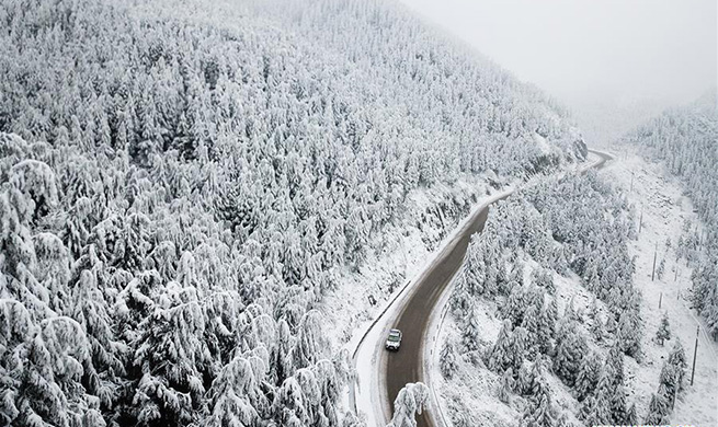 Police in SW China's Guizhou ensure smooth running of road during winter time