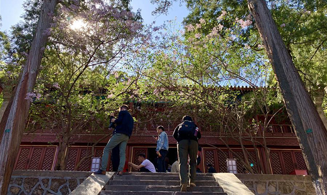 People go outing during spring in Beijing